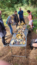 Load image into Gallery viewer, October 4th(Sat) 2025 -  Mushroom Hunt at Loughcrew Estate, Oldcastle, Co. Meath.