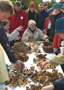 Sunday 27th Aug -  Mushroom Hunt with Slow Food Ireland in South Co. Wicklow