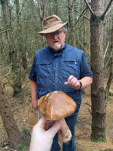 Load image into Gallery viewer, Mushroom Hunt, Small Group on Sunday 16th August 2026 near Dublin